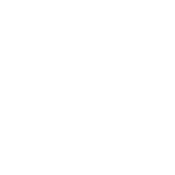 ce logo Lanesborough