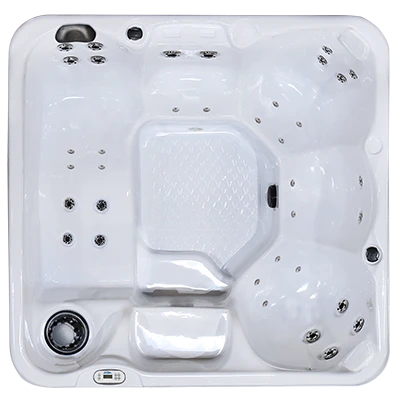 Hawaiian PZ-636L hot tubs for sale in Lanesborough